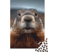 Groundhog Set De 1000 Pièces Papier Recyclé Real Porc Gros Plan Puzzle Adulte Facile À Ranger Casse-tête Engageant Activité Lien Familial Heures Divertissement 52x38cm/1000pcs