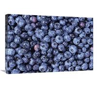 Groupe Bilberry, Amérique du Nord-Toile Art 30"x20"
