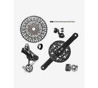 Sram Xx T-type Eagle E-mtb Bosch Transmission Axs Groupset Argenté 165 mm 36t / 10-52t