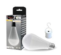 Groupe DDC Ampoule LED Rechargeable 650 ou 1050 Lumens - Culot E27 4000K - Autonomie 9h - Batterie Intégrée - Éclairage de Secours Dimmable - Crochet Interrupteur Inclus (1050 lumens)
