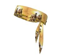 Groupe de Chevaux au Coucher du Soleil, Bandeau de Sport à Nouer derrière la tête, Bandeau Multi-usages pour Hommes et Femmes