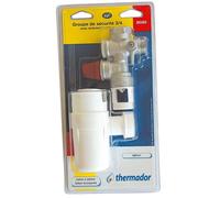 Groupe de sécurité vertical 3/4" NF avec siphon pour chauffe-eau - THERMADOR BGSS