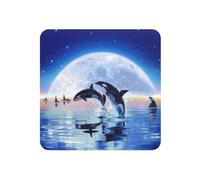 Groupe d'orques, Autocollant magnétique carré pour réfrigérateur, aimants magnétiques Doux pour réfrigérateur, 1 pièce