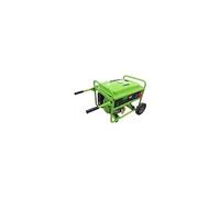 Zipper ZI-STE5500 groupe électrogène 5000 W 25 L Essence Noir, Vert