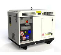 Groupe électrogène essence triphasé 11 kW AVR+DE P15000 - PRAMAC - PF153THBZ08