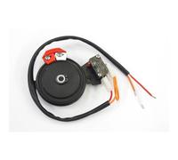 Groupe fin de course mécanique - BX-243 CAME RIBX041