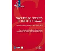 Groupes De Sociétés Et Droit Du Travail - Nouvelles Articulations, Nouveaux Défis
