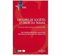 Groupes De Sociétés Et Droit Du Travail - Nouvelles Articulations, Nouveaux Défis