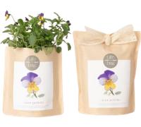 Grow Bag Pensée - 1 pcs
