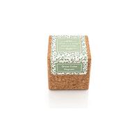 - grow cube aimanté basilic