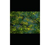 Grow With Gratitude: Reflect, Release, and Radiate A Guided Journal for Mindful Living