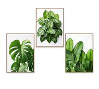 GrowArt - lot de 3 affiches avec composition de feuilles vertes | A3 sans cadre | impression photographique | décoration pour les amoureux de la nature | motifs disponibles uniquement chez nous |