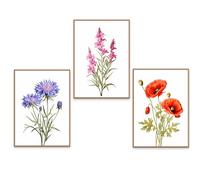 GrowArt - lot de 3 affiches avec des fleurs sur fond blanc au format A3 sans cadre | impression de haute qualité | décoration pour les amoureux de la nature | motifs disponibles uniquement chez nous