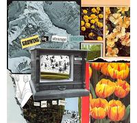 Growing in Strange Places - Vinyle Orange