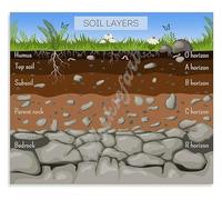 Growing Soil Poster