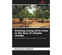Growing young olive trees in the face of climate change: The challenges of climate change for the olive sector