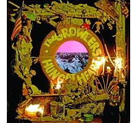 Growlers - Hung at Heart