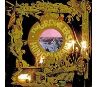 Growlers, the - Hung at Heart - Mint Green White Vinyl