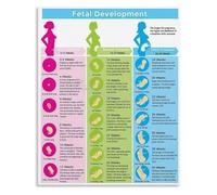 Growth Chart Fetal Development Weekly Stages Educational Poster for Pregnant Mothers Canvas Wall-Art Nursery Decor(Framed,16x24inch(40x60cm))