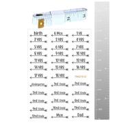 Growth Chart Wall Ruler, Shatterproof Growth Chart, Kids Growth Chart Decor, Toddler Growth Chart, Shatterproof Growth Chart Wall Ruler for Kids Toddler Boys and Girls with Fun Design for Child's Room