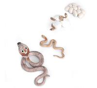 Growth Cycle Jouet éducatif pour Enfants, Modèle Animal en Plastique Vif pour Comprendre Le Cycle de Vie du Serpent, Matériau PVC, Lot de 4 Unités