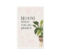 Growth Mindset Poster Bloom Where You Are Planted Positive Affirmation Classroom Decor Inspirational Wall Art Teacher Gift Homeschool Reading Corner Decor(Unframed,16x24inch(40x60cm))
