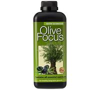 Growth Technology Ltd Engrais concentré Liquide Olive Focus 1 Litre
