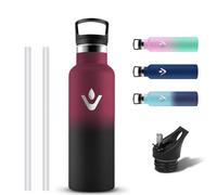 Grsta Gourde Isotherme, Gourde 500ml avec Paille, Gourdes Inox sans BPA, Anti Fuite, Bouteille d'eau en Acier Inoxydable, Reutilisable, Bouteille Isotherme pour Sport, Bureau, Gym