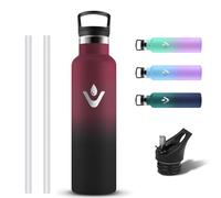 Grsta Gourde Isotherme, Gourde 750ml avec Paille, Reutilisable Bouteille Isotherme, Gourd Inox sans BPA, Bouteille d'eau en Acier Inoxydable, Anti Fuite Gourd pour Randonnee, Velo, Voyage