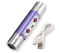Grtheenumb Lampe de Poche ultraviolette Professionnelle avec lumière Noire à Double de 365 nm et 254 nm pour l'inspection des minéraux et des devises, Charge Rapide Type C, Violet