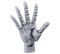 Grtheenumb Main de Mannequin, modèle Flexible de Main articulée avec Articulation et Base Mobiles, modèle en PVC Convivial pour Le Dessin, la Peinture, l'esquisse, Gris