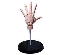 Grtheenumb Modèle de Figurine de Dessin, modèle Main 14x8 Pouces, Main Mannequin en PVC Flexible Couleur Peau avec Base, Doigts articulés Gauche Mobiles pour Dessiner la décoration Bureau à Domicile
