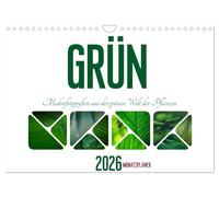 Grün Makrofotografien aus der grünen Welt der Pflanzen als Monatsplaner (Wandkalender 2026 DIN A4 quer), CALVENDO Monatskalender: Die Farbe Gün steht für Hoffnung, Neuanfang, Klarheit und Frische.