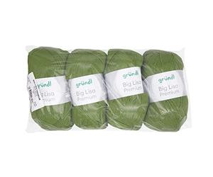 Gründl Big Lisa Premium Fil à tricoter et crochet (fil facile d'entretien, 100% polyacrylique, 250 g/665 m, taille des aiguilles : 3,5 à 4,5, 4 pelotes de 250 g) Vert, vert mai