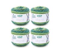 Gründl Laine Lolly Pop - Laine épaisse pour Crocheter et Tricoter avec dégradé de Couleurs - espectueuse de la Peau - 100% Acrylique - 4 pelotes 150 g / 240 m - Taille d’Aiguille 5-6 - Menthe