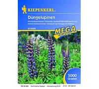 Gründünger-Saaten Dünge-Lupine, 5 kg Lupinus angustifolius