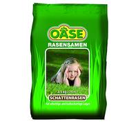 Oasis verte graines de gazon, gazon ombragé,