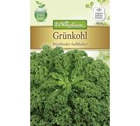 Grünkohl « pays occidentaux » pour la culture d'hiver.