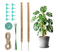GrünWerk 2 Pièces Tuteur Monstera, 60cm Pliable Tuteur Plante Grimpante, pour Maison Jardin De Plante Grimpantes Support Fibre De Coco Plante Accessoires Inclus