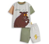 Gruffalo The Ensemble t-shirt et short pour garçons | T-shirt graphique à manches courtes color block pour enfants avec bas assortis | Conte de fées de souris Julia Donaldson Book Apparel Outfit