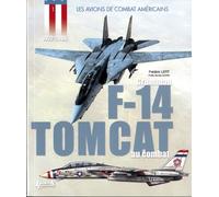 Grumman F-14 Tomcat au combat