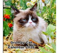 Grumpy cat calendar 2026