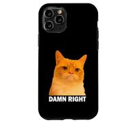 Grumpy Orange Cat Damn Right Meme Funny Weird Cat Face Meme Coque pour iPhone 11 Pro