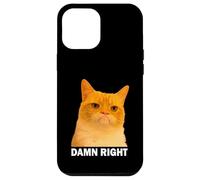 Grumpy Orange Cat Damn Right Meme Funny Weird Cat Face Meme Coque pour iPhone 12 Pro Max