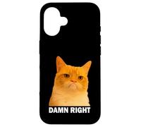 Grumpy Orange Cat Damn Right Meme Funny Weird Cat Face Meme Coque pour iPhone 16