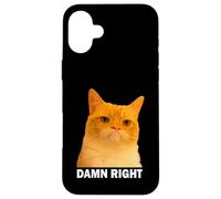 Grumpy Orange Cat Damn Right Meme Funny Weird Cat Face Meme Coque pour iPhone 16 Plus