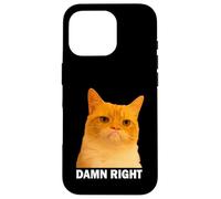 Grumpy Orange Cat Damn Right Meme Funny Weird Cat Face Meme Coque pour iPhone 16 Pro