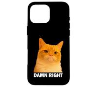 Grumpy Orange Cat Damn Right Meme Funny Weird Cat Face Meme Coque pour iPhone 16 Pro Max