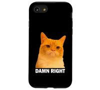 Grumpy Orange Cat Damn Right Meme Funny Weird Cat Face Meme Coque pour iPhone SE (2020) / 7/8