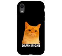 Grumpy Orange Cat Damn Right Meme Funny Weird Cat Face Meme Coque pour iPhone XR
